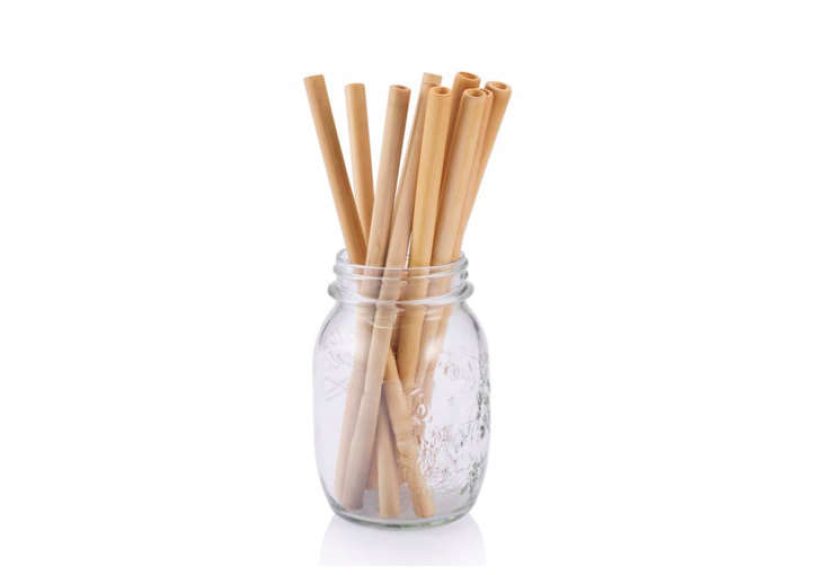 Bamboo Straws 6-Pack
