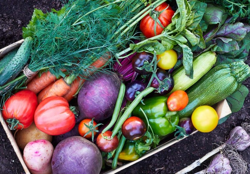 Costco Is Selling a Mini Greenhouse for Gardeners