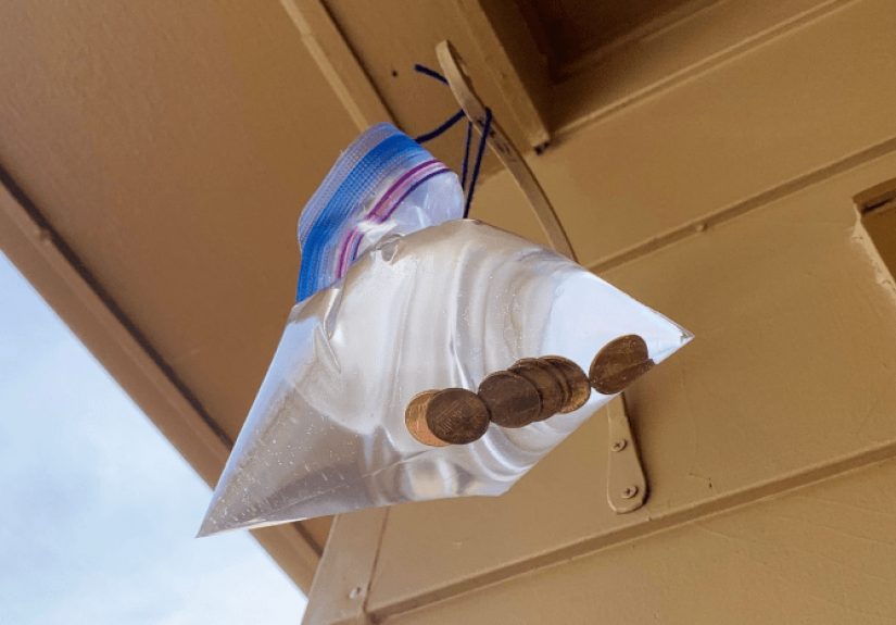 Doe Water-Filled Bags With Pennies Repel Flies? Here's the Deal