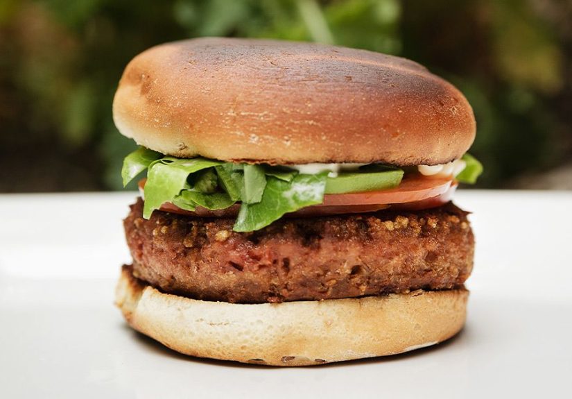 Fake Meat May Raise Depression, Inflammation Risk in Vegetarians
