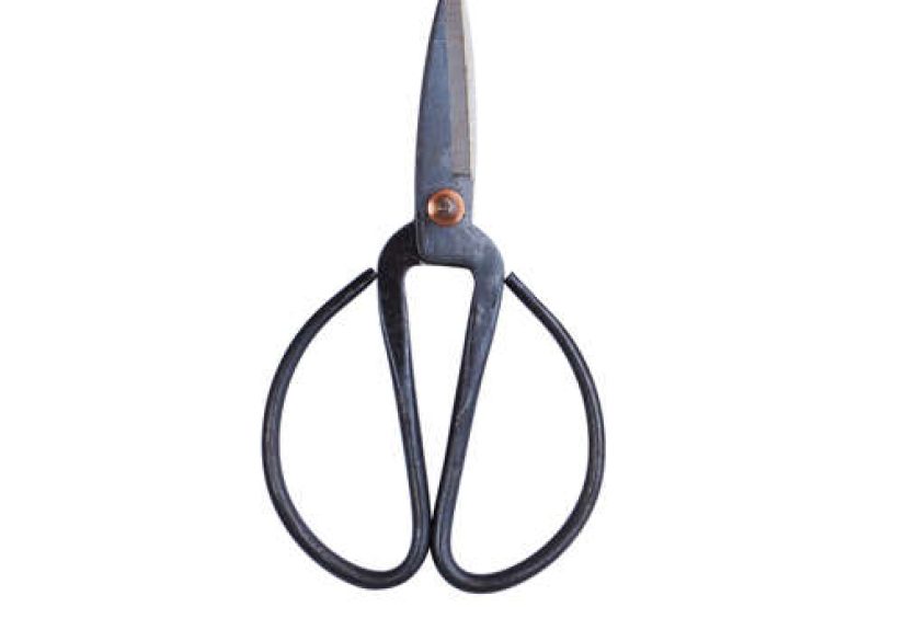 Hay Market Kitchen Scissors
