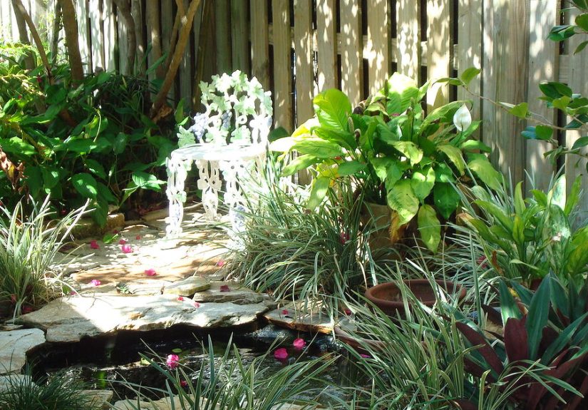 How I Deal With Shade; My Shade Gardens.
