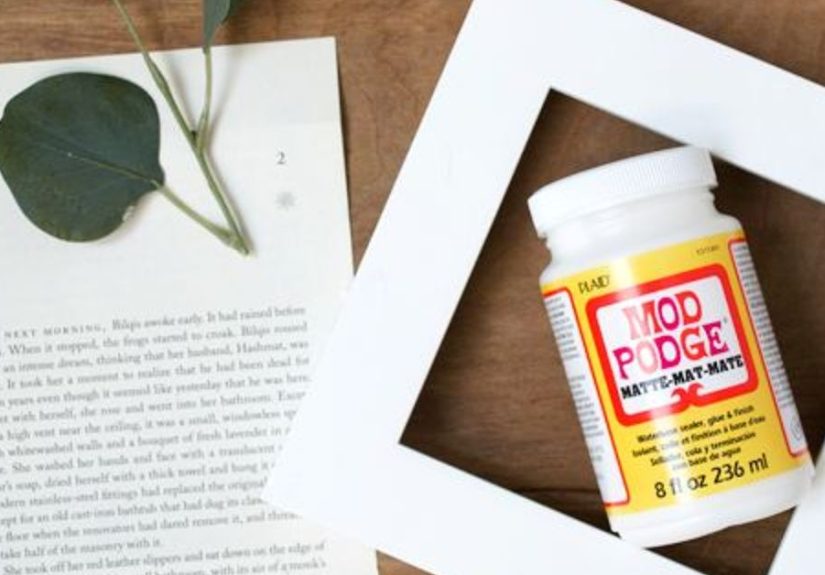 How to Create Pressed Eucalyptus Art