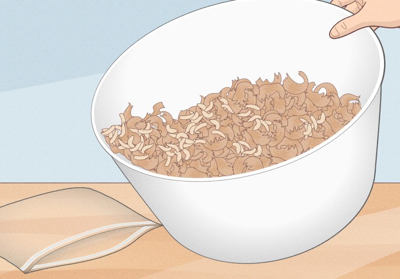 How to Keep Maggots Alive for Fishing: 11 Steps
