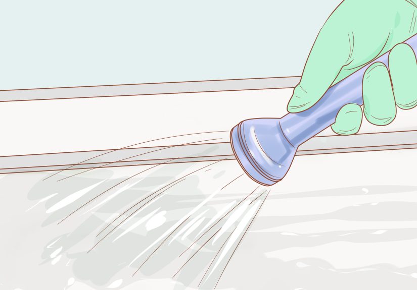 How to Kill Mold