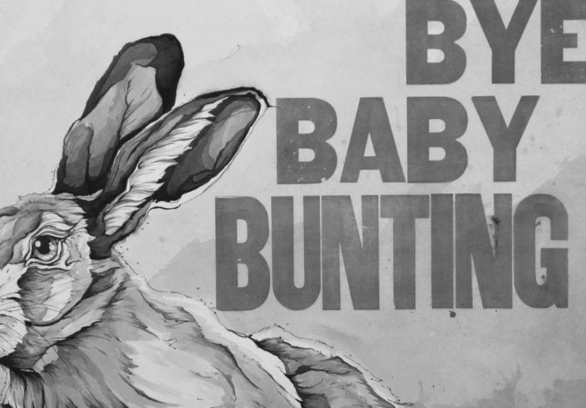 I’m An Animals Rights Artist An I Have A Fascination With The Lullaby Bye Baby Bunting