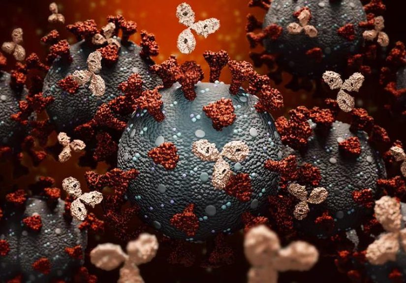 Monoclonal Antibodies To Fight COVID-19