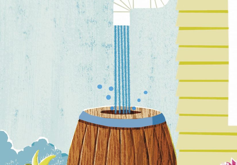 Rain Barrel Options: A Guide To Sustainable Water Collection