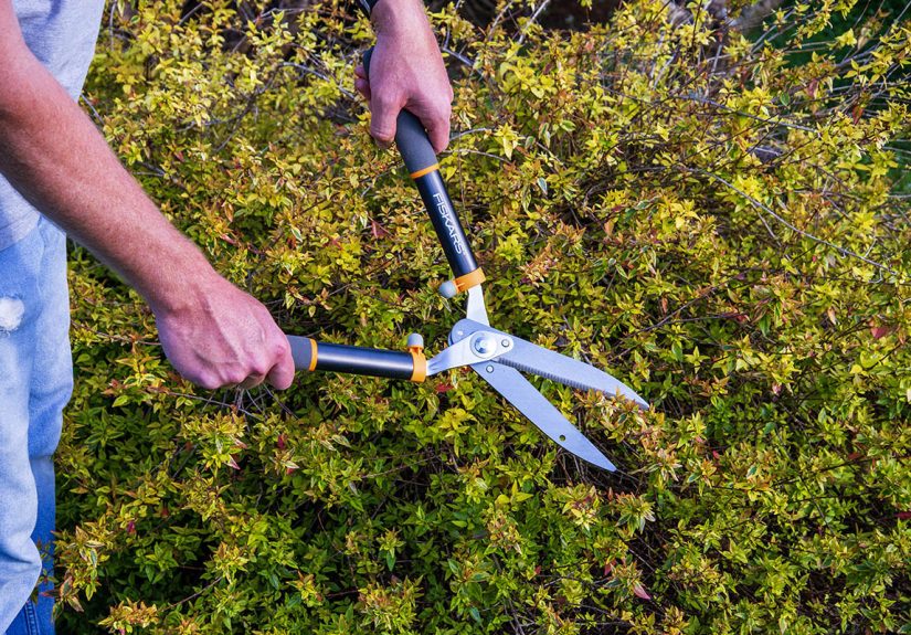 The Best Hedge Shears, According to Testing