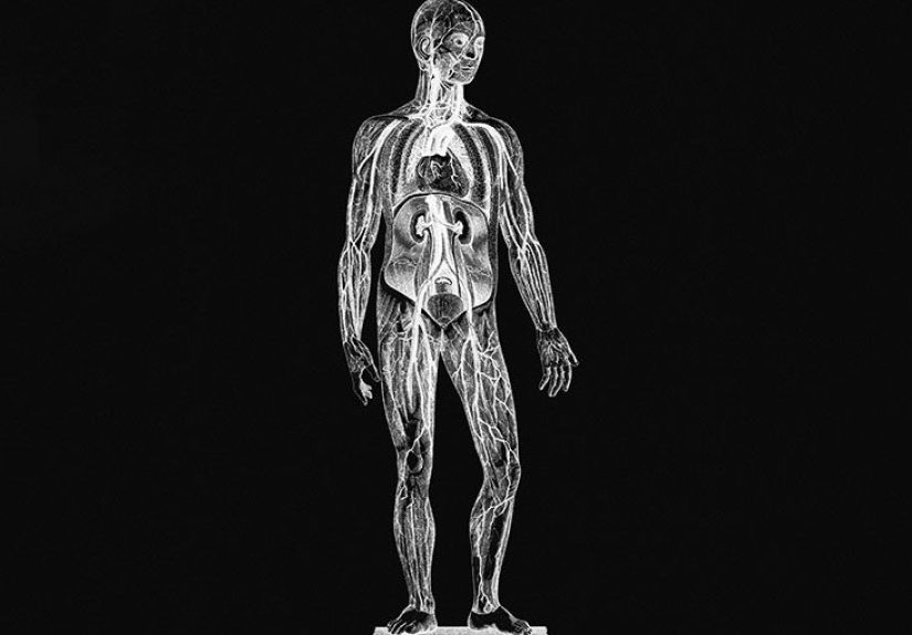 Traveling Blood Clot: How Long Does It Take?
