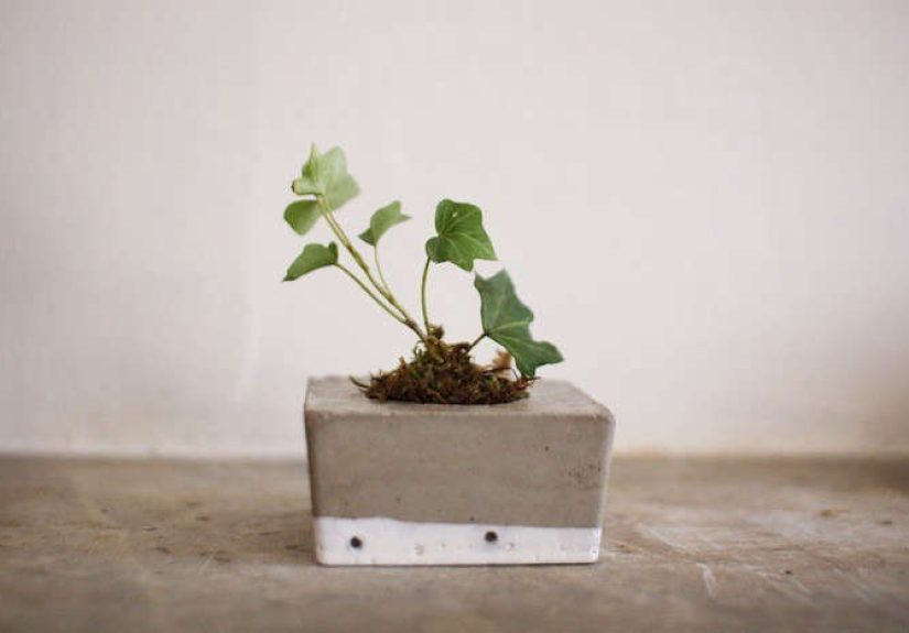 Trending on Gardenista: Growing Green