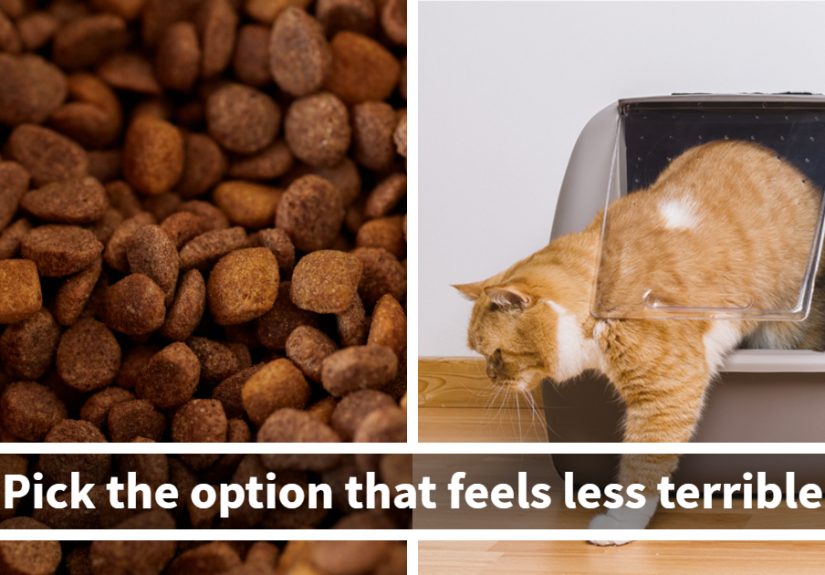 30 Tricky ‘Would You Rather’ Dilemmas That Always Spark Debates Online