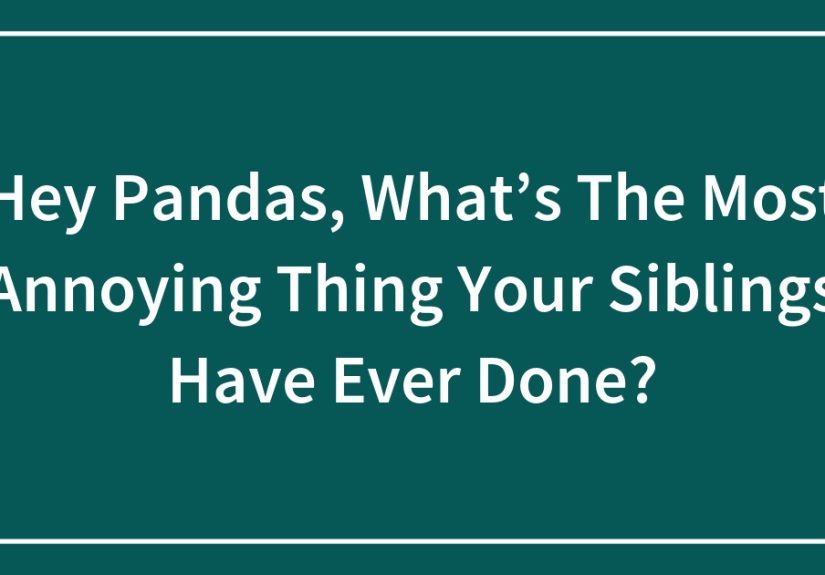 Hey Pandas, What’s The Most Annoying Thing Your Siblings Have Ever Done?