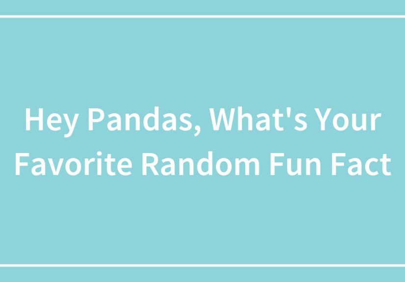 Hey Pandas, What’s Your Favorite Random Fun Fact?