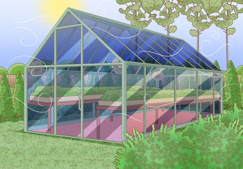 How Does a Greenhouse Work? Learn to Garden Year Round