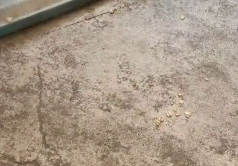 How to Get Rid of Dirt Lines With a Simple Sweeping Hack