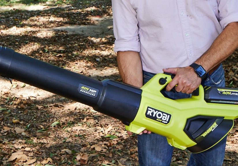 The Best Cordless Leaf Blowers of 2024