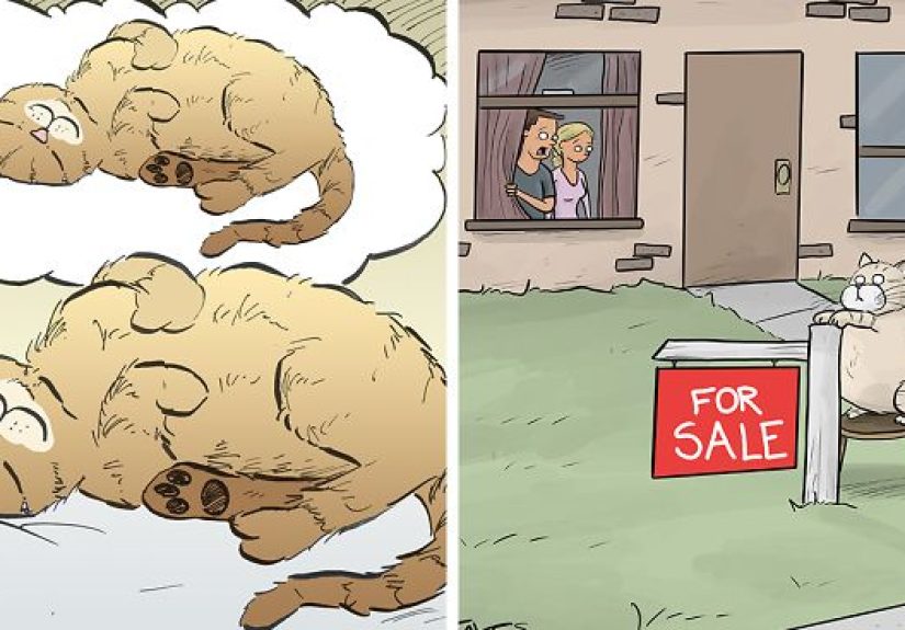 35 Comics That Cat Owners Will Relate To, Inspired By My Cat