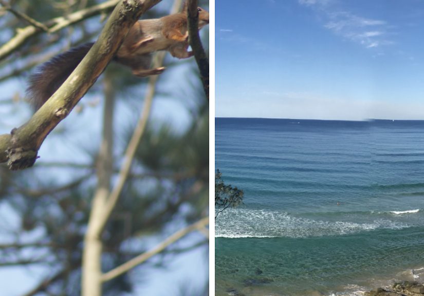 Hey Pandas, Share Your Photos That Could Have Been Perfect, But…